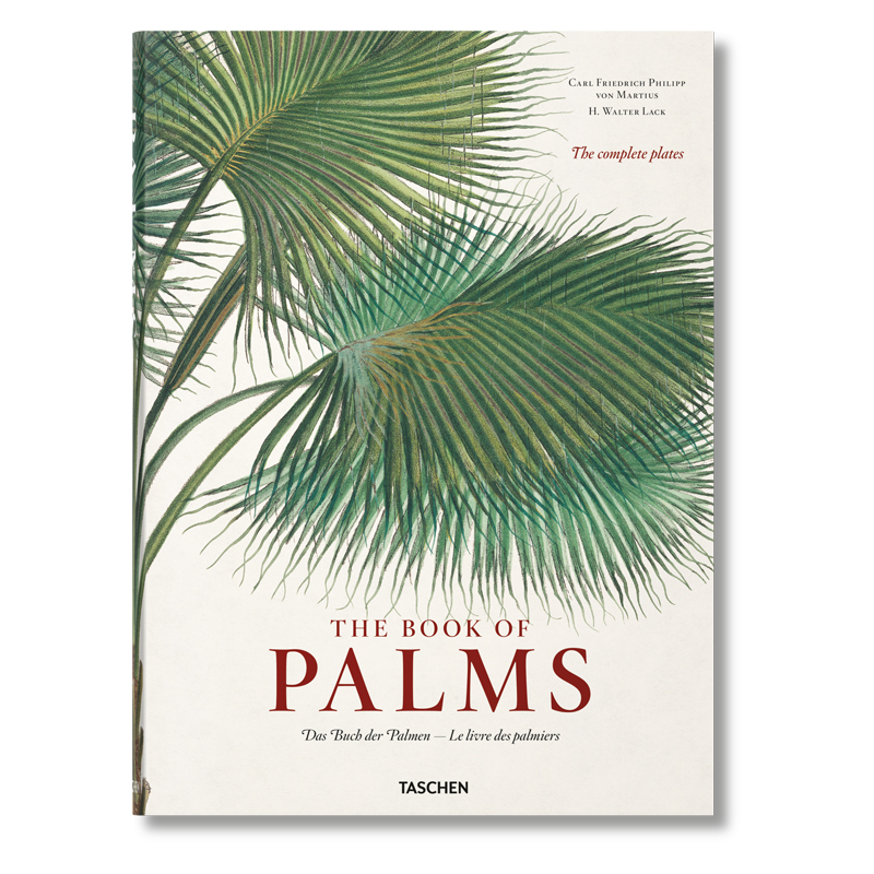 Книга The Book of Palms  в Ижевске | Loft Concept 