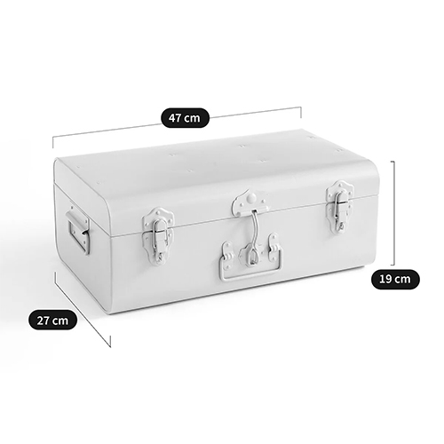 Металлический сундук Metal Chest White в Ижевске