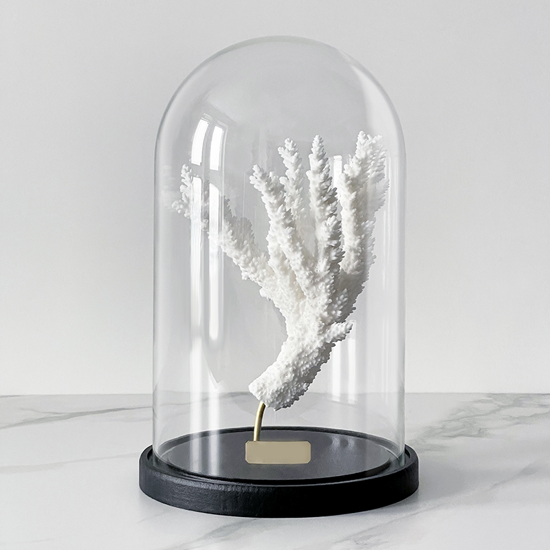 Статуэтка Natural Coral Branch Glass Cloche  в Ижевске | Loft Concept 