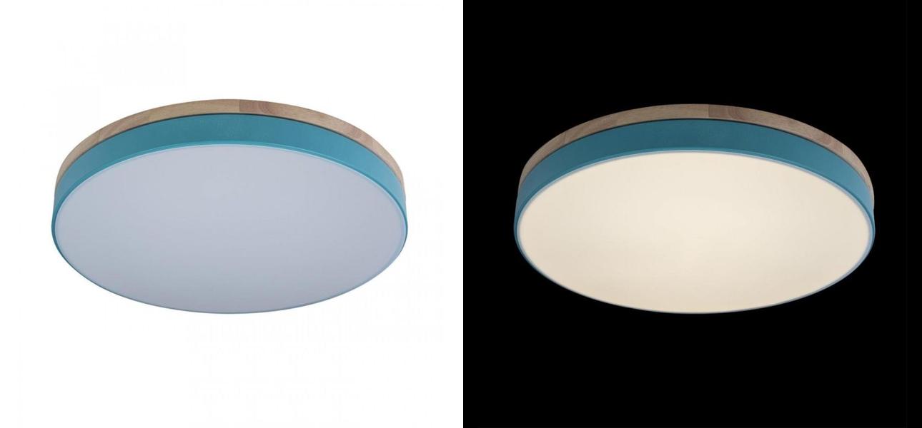 Потолочный светильник Wooden Wheels Blue диаметр 50 - фото №1