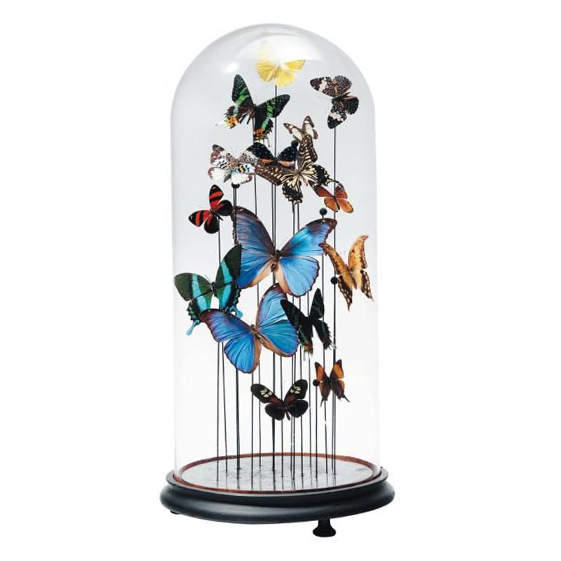 Статуэтка 15 Butterflies Glass Cloche  в Ижевске | Loft Concept 