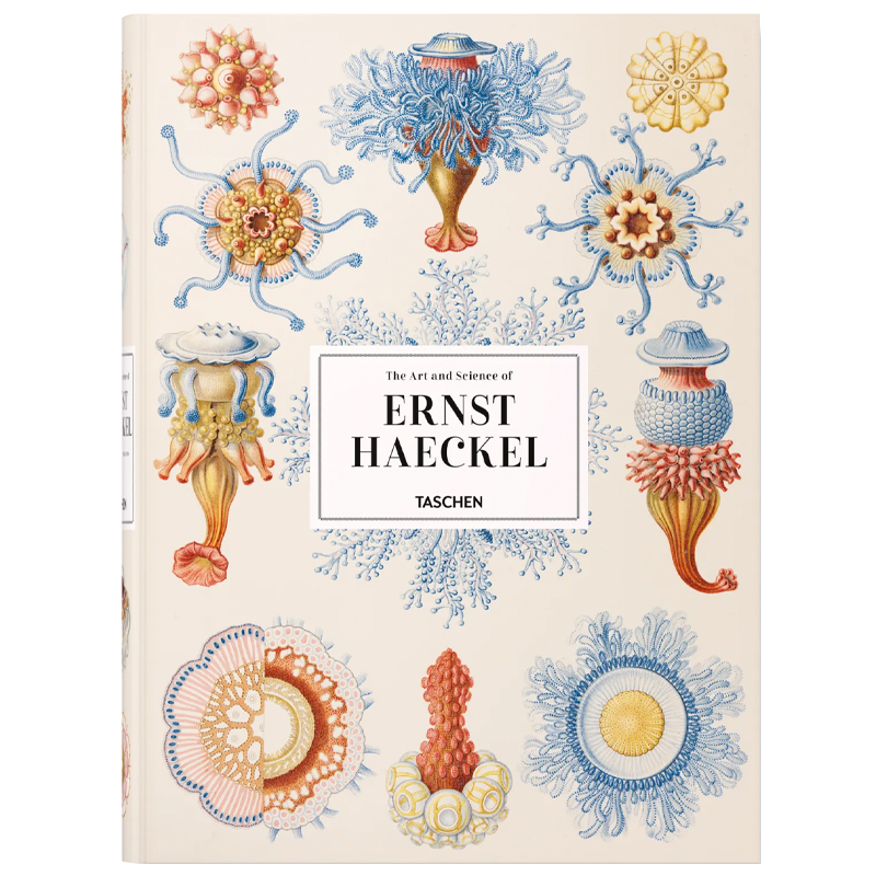 The Art and Science of Ernst Haeckel XXL  в Ижевске | Loft Concept 