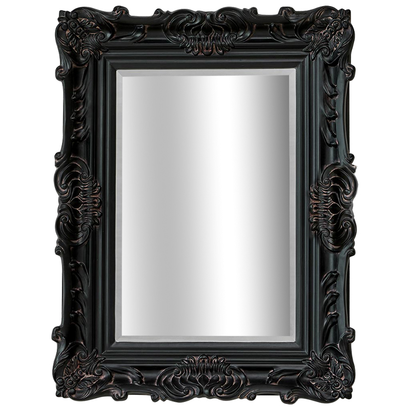 Зеркало Aryan Provence Mirror Black Черный Коричневый в Ижевске | Loft Concept 