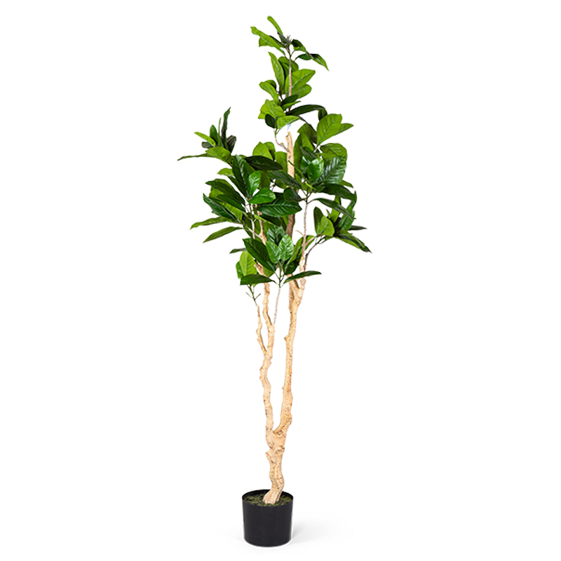 Декоративный искусственный цветок Decorative Tree h187 Зеленый в Ижевске | Loft Concept 