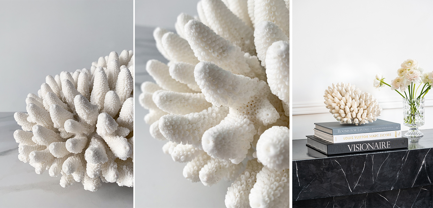 Статуэтка Finger Coral - фото