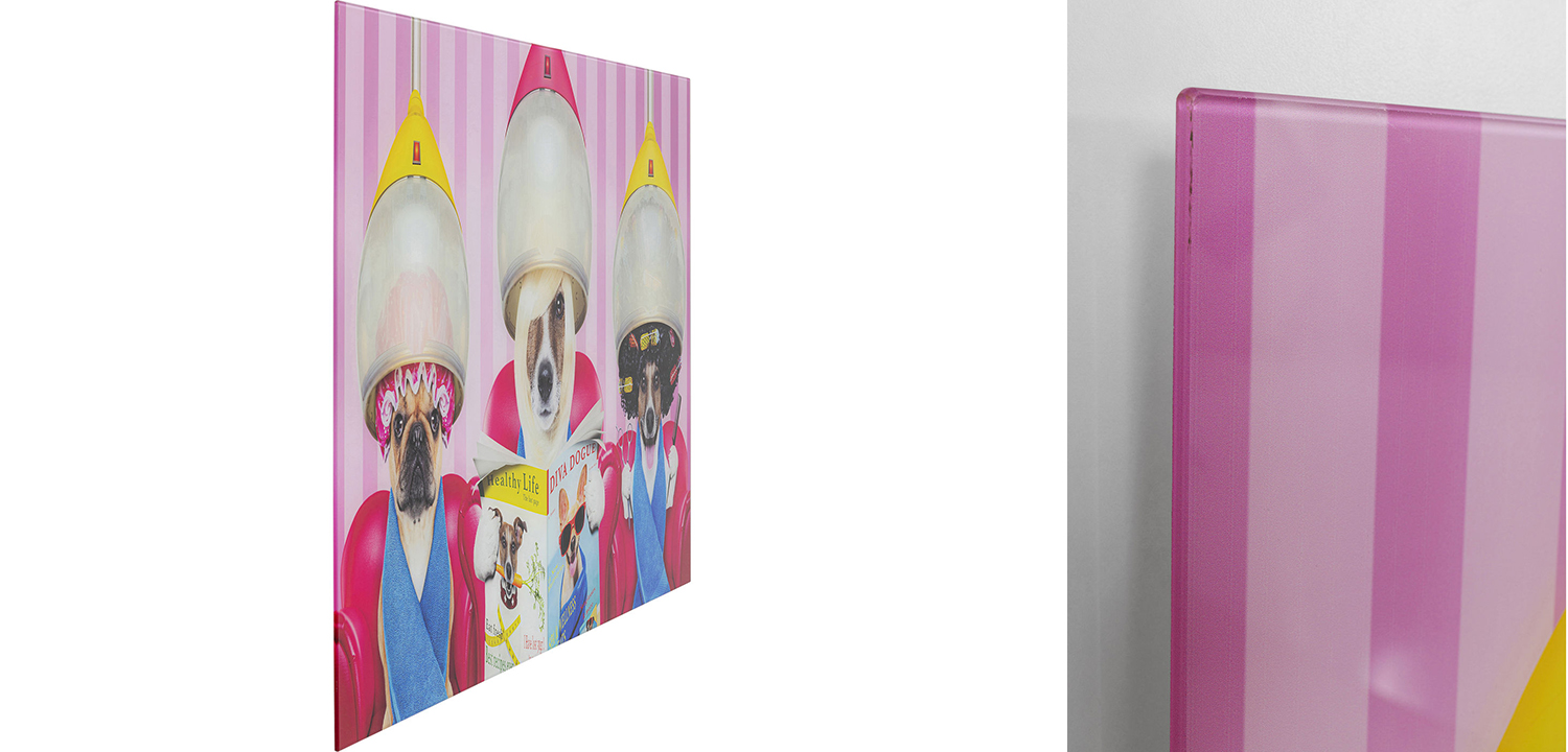 Картина Dogs in a beauty salon  - фото