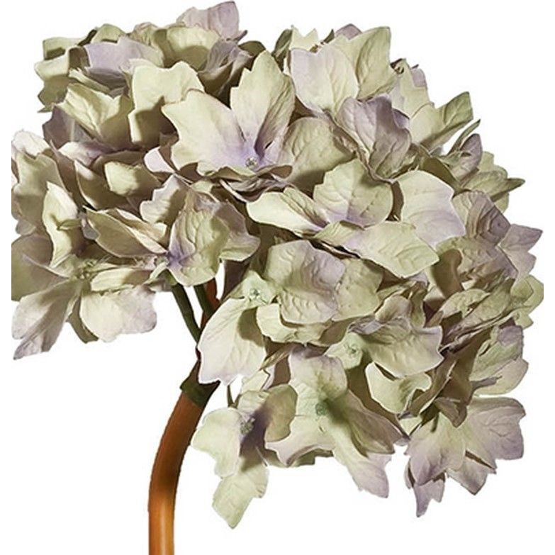 Декоративный искусственное растение Beige hydrangea Черный Бежевый Коричневый в Ижевске | Loft Concept 