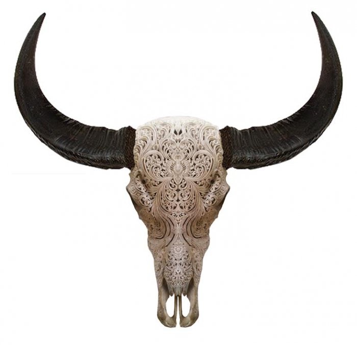 Череп буйвола с резьбой Buffalo Skull Tribal Carving Белый в Ижевске | Loft Concept 