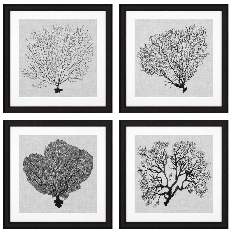 Комплект постеров Eichholtz Prints Shadow Sea Fans set of 4 Черный Черно-белый в Ижевске | Loft Concept 