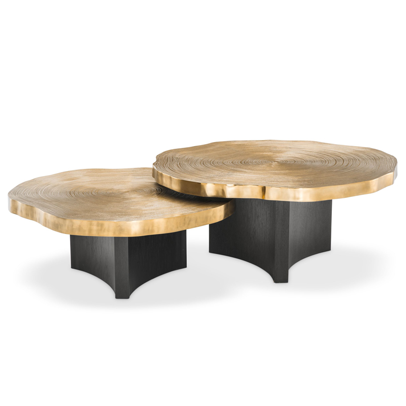 Комплект кофейных столов Eichholtz Coffee Table Thousand Oaks set of 2 Черный Латунь в Ижевске | Loft Concept 