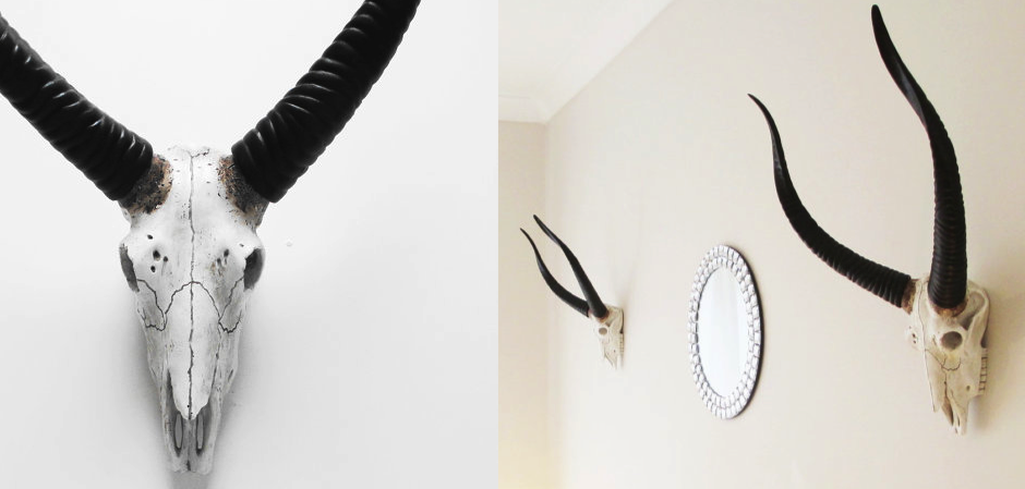 Череп антилопы с черными рогами - Loft-Concept в Ижевске