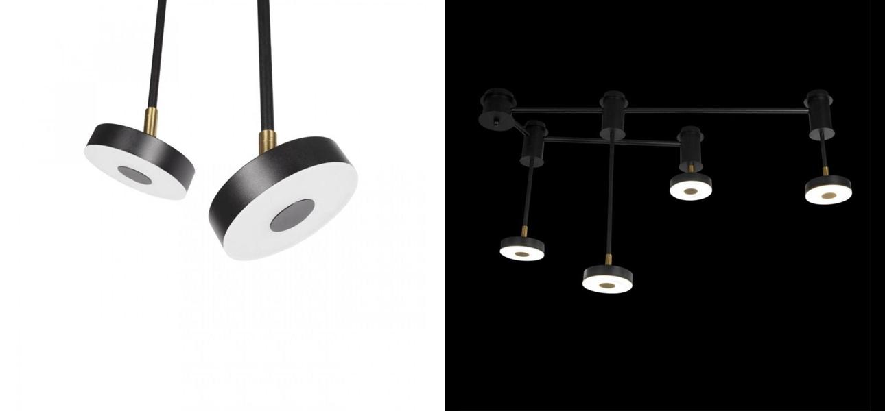 Светильник потолочный Flexible soffits черный 4 плафона - фото