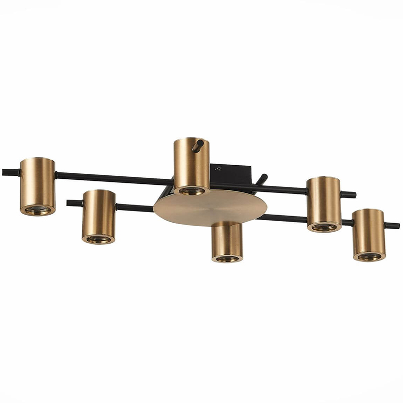 Потолочный светильник Aigle Ceiling Light 6 Черный Латунь в Ижевске | Loft Concept 