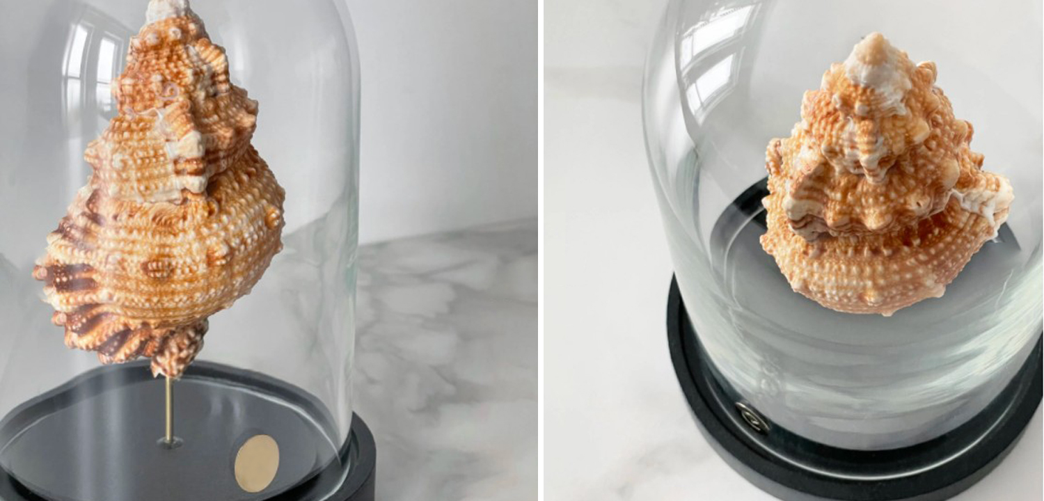 Статуэтка Bursa Rubeta Glass Cloche - фото