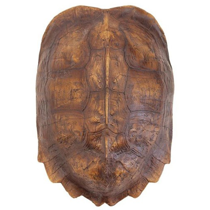 Аксессуар Turtle Shell Natural Light Brown Коричневый в Ижевске | Loft Concept 