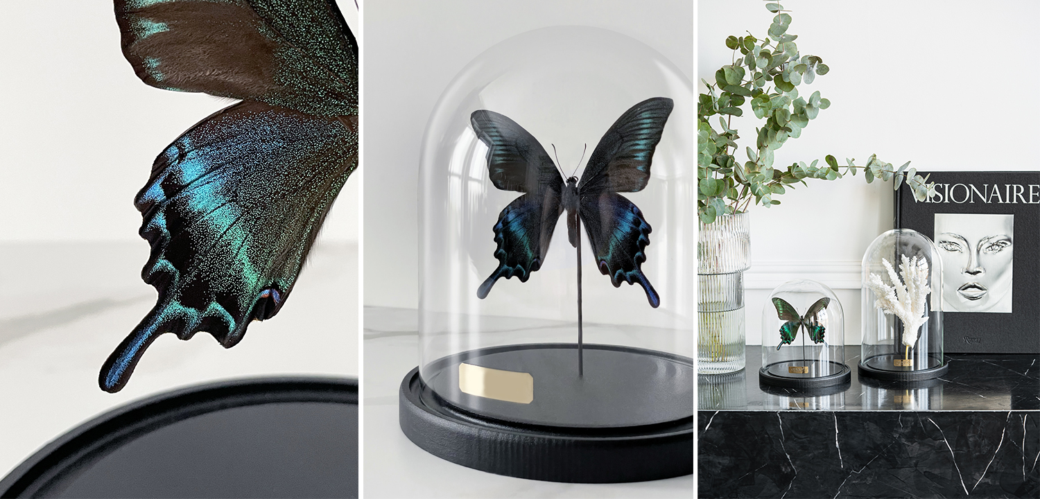 Статуэтка Butterfly Sailboat Maaka Glass Cloche - фото