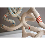 Скульптура «Papañca» варинант исполнения - 3 | Loft Concept в Ижевске