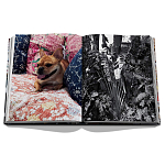 Книга подарочная Смелый бразильский стиль Сиг Бергамина Assouline Maximalism by Sig Bergamin варинант исполнения - 9 | Loft Concept в Ижевске