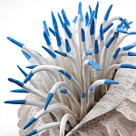 Статуэтка тропический фрукт Tropical Fruit White Blue варинант исполнения - 1 | Loft Concept в Ижевске