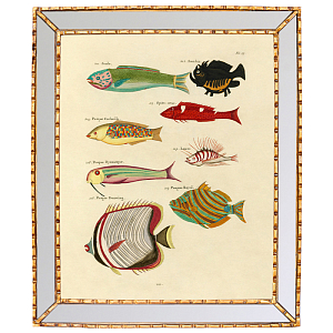 Постер в зеркальной раме Fish Guide 4