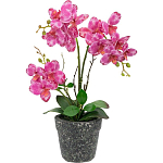 Декоративный искусственное растение Pink orchid варинант исполнения - 1 | Loft Concept в Ижевске