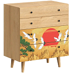 Комод с принтом на ящиках Elise Chest of Drawers варинант исполнения - 16 | Loft Concept в Ижевске