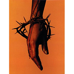 Подарочная книга величайший фотограф Альберт Уотсон The Vienna album Albert Watson варинант исполнения - 4 | Loft Concept в Ижевске