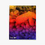 Редкое подарочное издание Yayoi Kusama: 1945 to Now варинант исполнения - 3 | Loft Concept в Ижевске