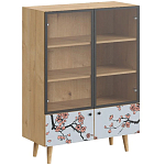 Витрина с изображением на дверцах Elise Cupboard варинант исполнения - 6 | Loft Concept в Ижевске