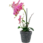 Декоративный искусственное растение Pink orchid варинант исполнения - 4 | Loft Concept в Ижевске