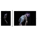 Монография художника Tavares Strachan - There is Light Somewhere варинант исполнения - 6 | Loft Concept в Ижевске