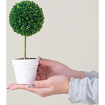 Декоративный искусственное растение Boxwood One варинант исполнения - 6 | Loft Concept в Ижевске