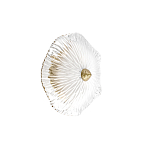 Бра в форме прозрачного стеклянного цветка с рельефной текстурой Textured Glass варинант исполнения - 7 | Loft Concept в Ижевске