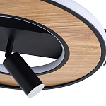 Потолочный светильник круглый GAVIN WOOD варинант исполнения - 2 | Loft Concept в Ижевске