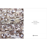 Книга Maison Lesage: Haute Couture Embroidery Mauries Patrick варинант исполнения - 11 | Loft Concept в Ижевске