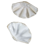 Фигурка из фарфора в виде одной створки ракушки Marine Tridacna варинант исполнения - 3 | Loft Concept в Ижевске