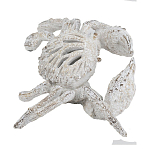 Статуэтка краб с детализированной текстурой в белом цвете Marine Accessories варинант исполнения - 4 | Loft Concept в Ижевске