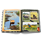 Подарочнный коллекционный фото альбом AFRICAN ADVENTURES NEW 2023 ASSOULINE HC UNBELIEVABLE ILLUSTRATIONS Safari варинант исполнения - 7 | Loft Concept в Ижевске