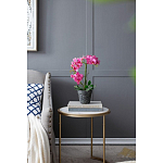Декоративный искусственное растение Pink orchid варинант исполнения - 8 | Loft Concept в Ижевске