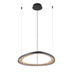 Люстра светодиодная  Iris варинант исполнения - 2 | Loft Concept в Ижевске