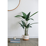 Декоративный искусственное растение Decor Stile  варинант исполнения - 7 | Loft Concept в Ижевске