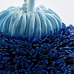 Статуэтка Синий тропический фрукт Tropical Fruit Pandora 1 варинант исполнения - 4 | Loft Concept в Ижевске