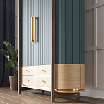 Шкаф «Гавайи» варинант исполнения - 2 | Loft Concept в Ижевске