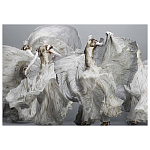 Alexander McQueen: Savage Beauty варинант исполнения - 2 | Loft Concept в Ижевске