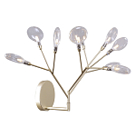 Бра в виде ветвей с прозрачными круглыми плафонами Moooi варинант исполнения - 1 | Loft Concept в Ижевске