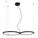 Люстра подвесная светодиодная черный металл Ring Horizontal варинант исполнения - 9 | Loft Concept в Ижевске