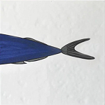 Плитка с узором Рыба пловчиха варинант исполнения - 6 | Loft Concept в Ижевске