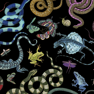 Мебельная ткань Велюр 145 см Т4-67