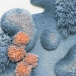 Тканый вручную Большой абстрактный гобелен Frost Forest варинант исполнения - 1 | Loft Concept в Ижевске