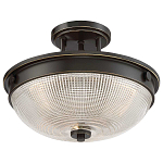 Потолочный светильник со стеклянным плафоном в виде купола Quoizel варинант исполнения - 8 | Loft Concept в Ижевске